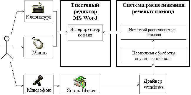       MS Word