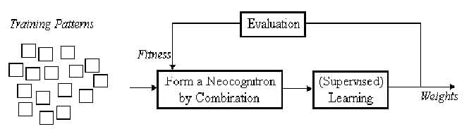 Fig. 7. Illustration of supervised learning for the Neocognitron incorporated with cooperative coevolution.