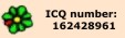 ICQ number:162428961