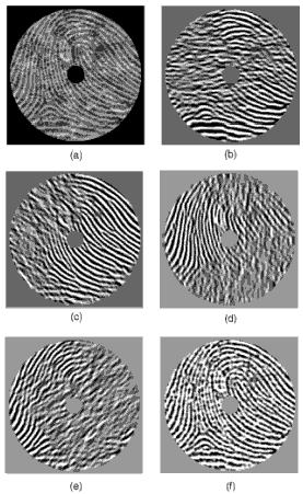 Normalized, filtered, and reconstructed fingerprint images