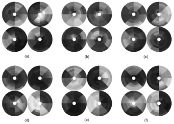 Fingerprint representation using 192-dimensional feature vectors