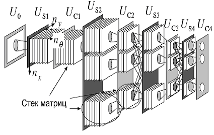 Hierarchial structure of neocognitron