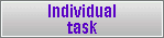 Individual task