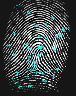 Figure 7.2  Special points of fingerprint