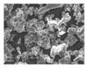SEM micrograph of the original Ti powders