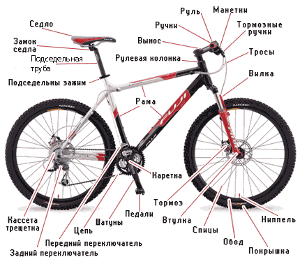 Трехколесный велосипед - Tricycle