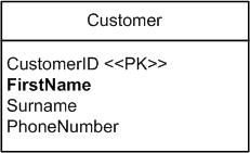  The final database schema for Customer. 