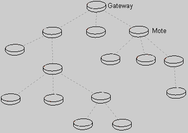 Figure 6.2 – Example collection tree.