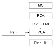Fig. 3 – Scheme of PCA method