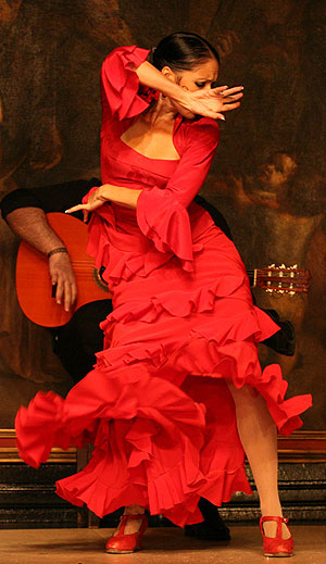 Bailaora, flamenco