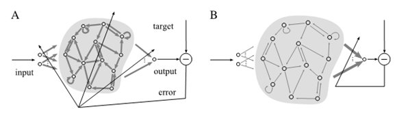 Figure 8     Apprentissage classique du réseau neurone récurrent par la méthode de rétropropagation du gradient régle les poids synaptiques dans toutes les couches du réseau; B  Réglage des poids dans le réservoir computing se passe seulement dans la couche de sortie