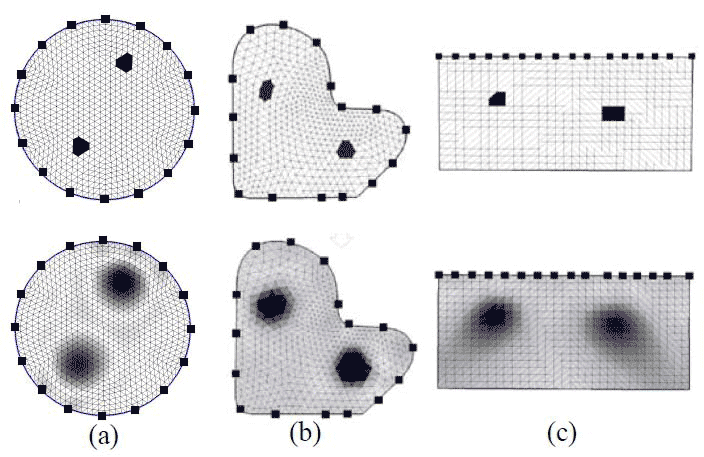 Fig. 4. Simulation results: circular shape(a), custom shape(b) and asymmetric
electrode placement(c)