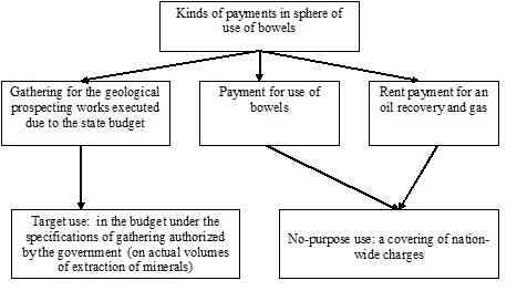 Figure 2 - Kinds of payments for using of bowels