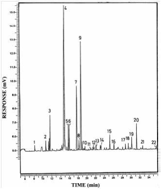 Fig. 4. GC separation of CuO oxidation products of xylain lithotype; (Peaks identification in Table 3).