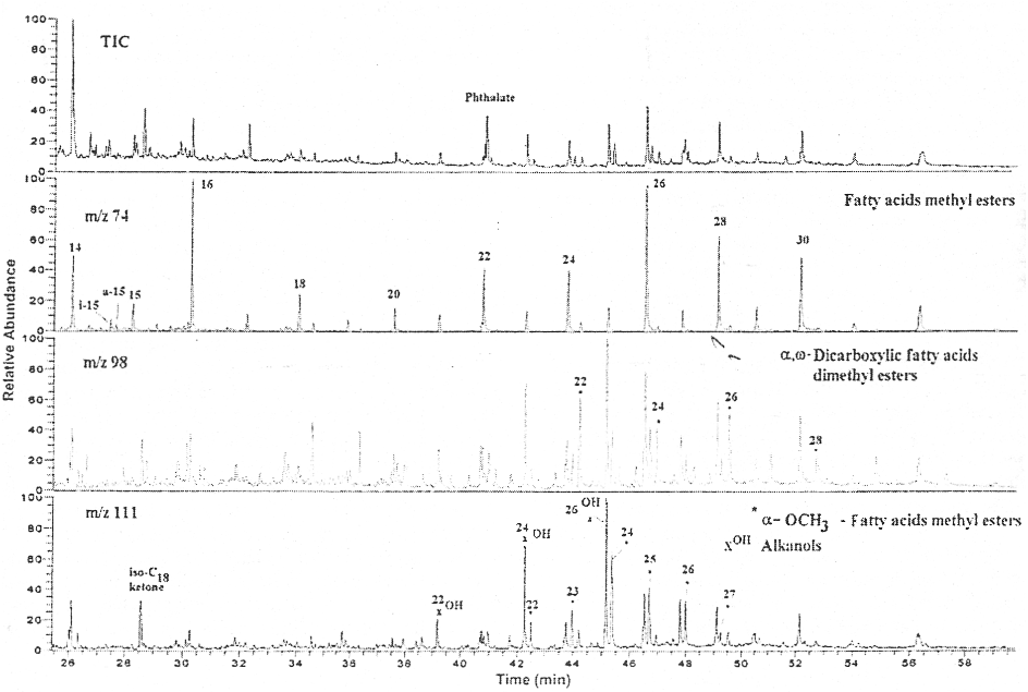 Figure 4 – Distribution of FAs released by TMAH thermochimolysis 