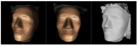 Figure 2: 3D data generated by the 3D imagers (with and without photographic texture)