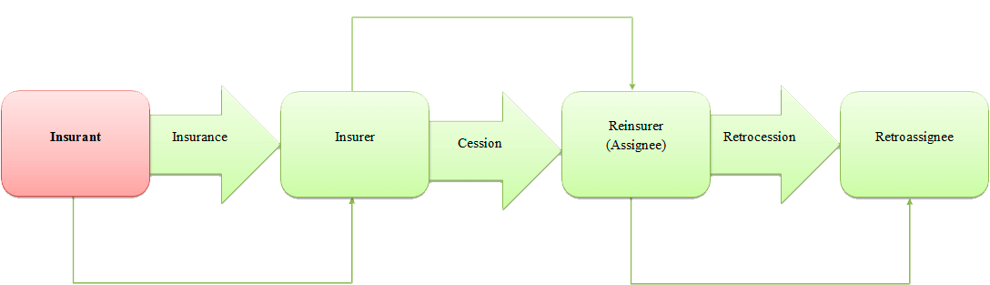 The scheme of interaction between participants of the reinsurance (animation, 7 frames, 10 reps)