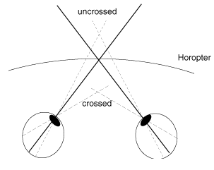 Figure 1 – Projections of disparity and corresponding points on eyes retinas or projective planes of cameras