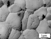 Formation and growth of microcrystalline grains during sintering of nanocrystalline PZT at 850 ?C. Exposure time, min: c - 180.