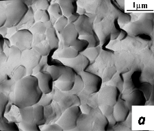 The grain microstructure of sintered ceramics PZT: a - ceramics, consolidated from nanocrystalline powder.