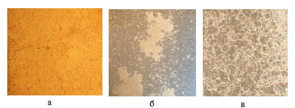 The microstructure of the wire with a degree of 27% after PHPD sorbitizing in granular graphite, s,? 160: a) 1, b), 6 in) 9, 1000°°°°°°°° 