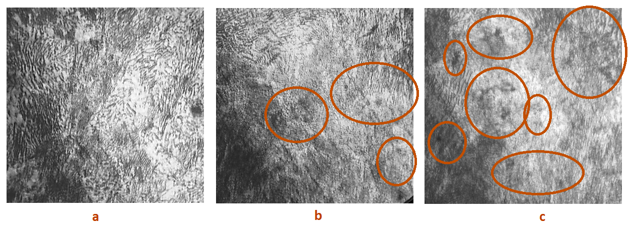 The microstructure of the samples (graphite inclusions circled) with degrees of compression, x1350: a) is not deformed; b) 27%; c) 75%