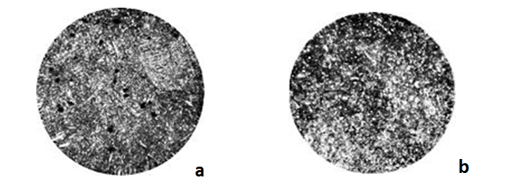 The microstructure of carbon steels after quenching: a - steel U7A; b - steel U10A
