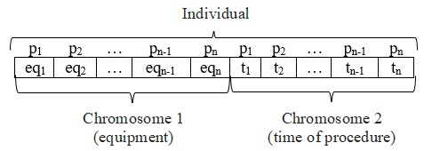 Structure of individual