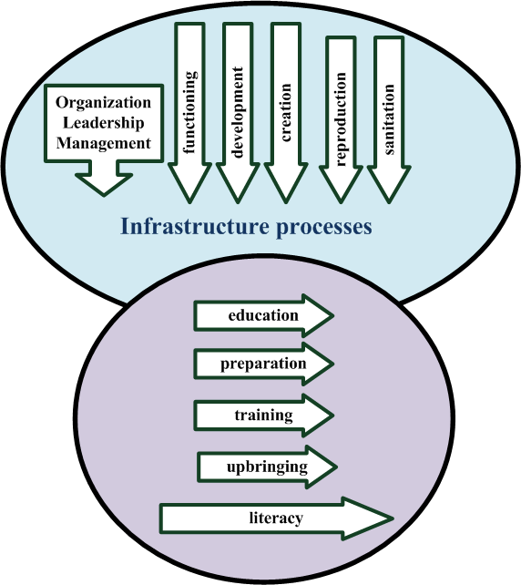 System of basic and infrastructural processes of education
