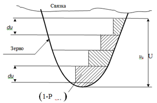 Схема розподілу перетину зрізу по висоті робочої частини зерна