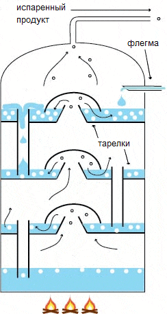 Illustration of the processes inside the column