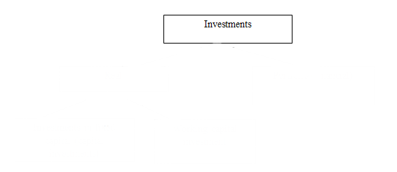 Classification of investments by objects of their investments