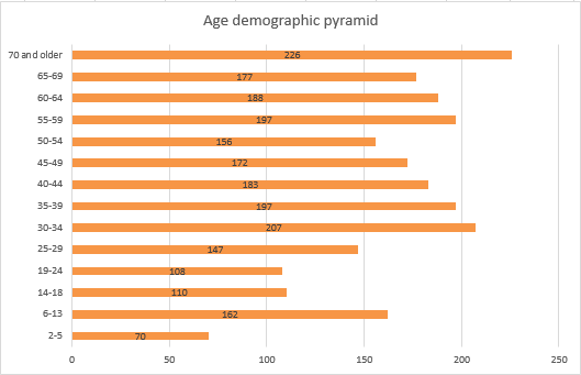 Figure 2 — Age demographic pyramid of Makeevka village