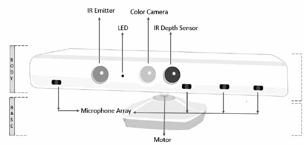 The location of the working bodies of the sensor