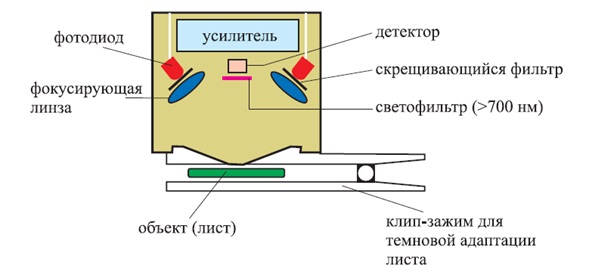 Schematic of the measuring head of a fluorimeter using