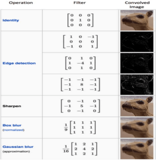 Effects of different convolution matrix