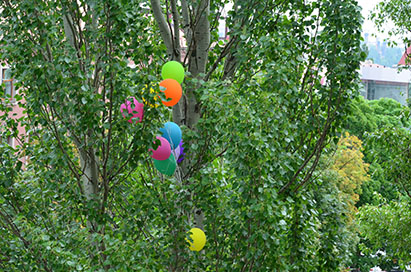 Уличное фото - фото воздушных шариков