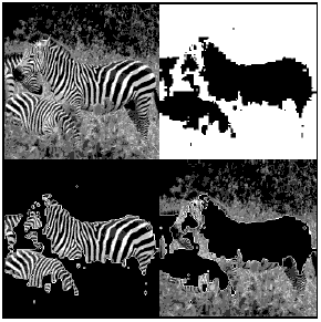 Segmentation of zebras (L = 3, classes = 2)