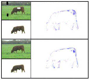 Dynamic image segmentation using Graph Cuts