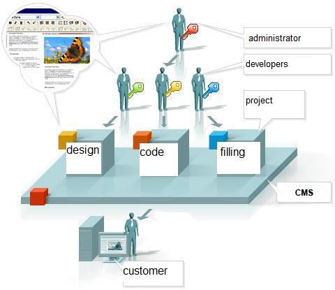  Development of the CMS-system process