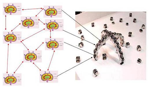 The complex robotic system