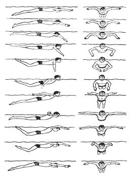 ����������