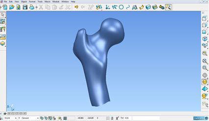 Figure 2- 3D-model of a thigh bone