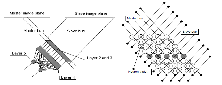 General view of ANN (a) and the slice of a second layer (b)