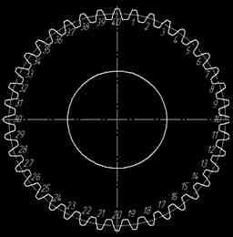 The numbering of the teeth models