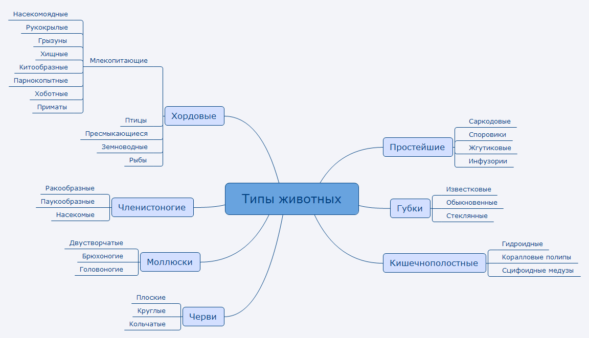 Интеллектуальная карта по биологии