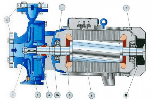 The structure of the centrifugal pump 