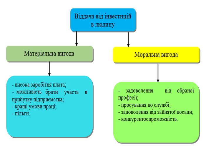 Віддача від інвестицій в людину