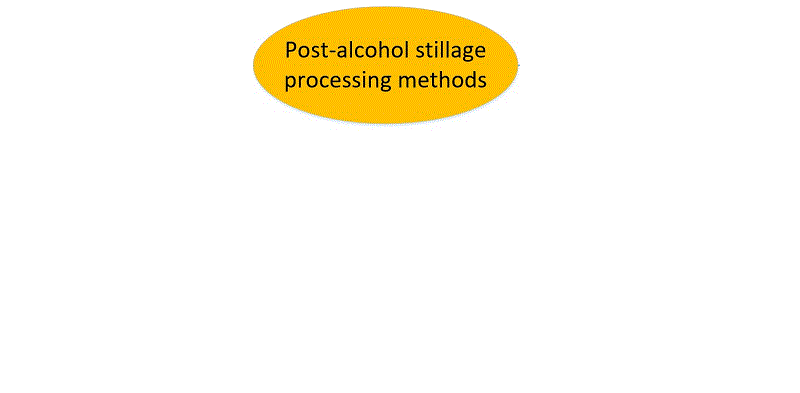 Methods for processing distillery stillage