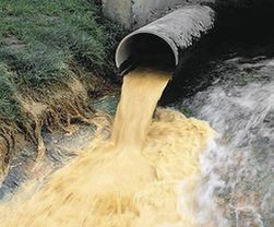 Discharge of distillery stillage into water bodies